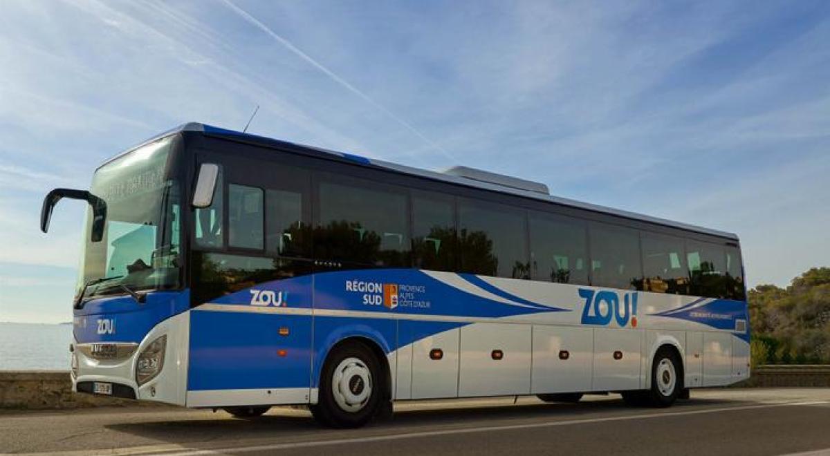 bus zou