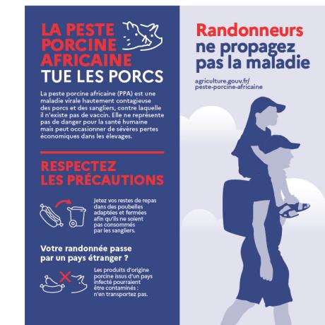 Consignes pour ne pas protéger la peste porcine