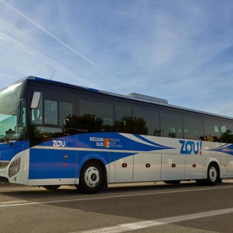 bus zou bus zou